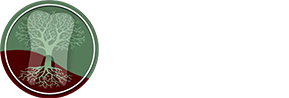 Dentistry by Design logo — green sage text brand logotype on transparent background